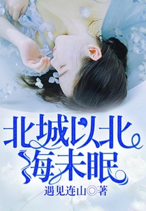 北城以北海未眠