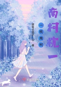 一枕南柯南柯枕一