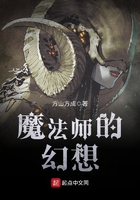 魔法师的幻想在线阅读