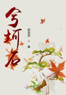 兮坷石