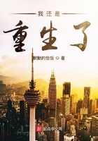 我還是重生了在線閱讀