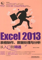 Excel 2013表格制作、数据处理与分析从入门到精通