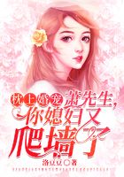 枕上婚宠:萧先生,你媳妇又爬墙了