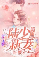 陆少新妻软白甜在线阅读