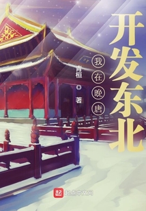我在晚唐开发东北