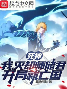 死神:我滅卻師儲君,開局就亡國