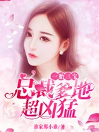 一胎三宝:总裁爹地超凶猛在线阅读