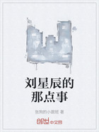 刘星辰的那点事在线阅读