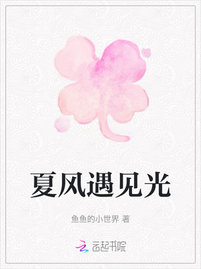 夏风遇见光在线阅读