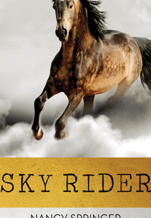 Sky Rider