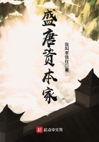 盛唐資本家在線閱讀
