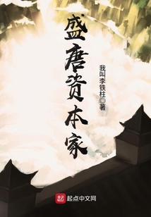 盛唐資本家