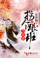 拐個跟班當夫君在線閱讀