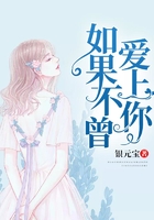 如果不曾愛上你在線閱讀