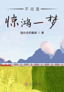 不過是驚鴻一夢(mèng)