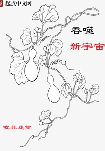 吞噬新宇宙
