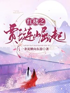 紅樓之賈璉崛起在線閱讀