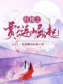 紅樓之賈璉崛起