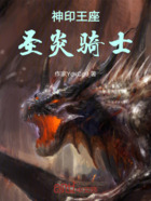 神印王座圣炎骑士