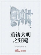 重铸大明之狂飚在线阅读