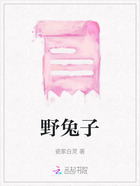 野兔子在线阅读