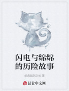 闪电与绵绵的历险故事在线阅读