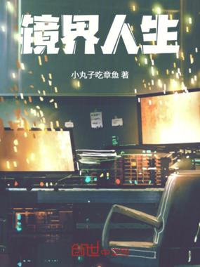 镜界人生在线阅读