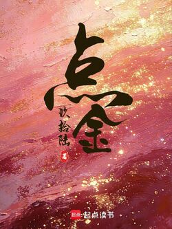 点金 封面