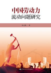 中國勞動力流動問題研究