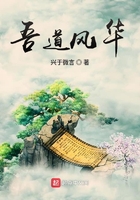 吾道風華在線閱讀