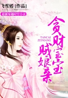 贪财宝宝贼娘亲在线阅读