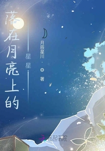 落在月亮上的星星