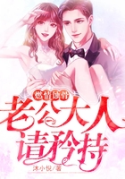 燃情蚀骨:老公大人请矜持