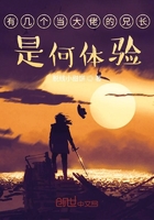 有几个当大佬的兄长是何体验在线阅读