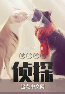我可不是侦探在线阅读