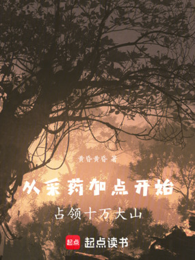 从采药加点开始,占领十万大山在线阅读