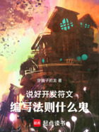说好开发符文,编写法则什么鬼!在线阅读