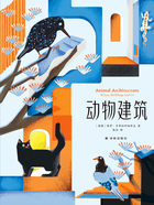 动物建筑(“天际线”丛书)在线阅读