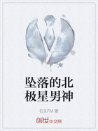 坠落的北极星男神在线阅读