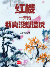 红楼:一开始,我真没想造反在线阅读