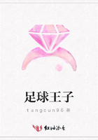足球王子在線閱讀