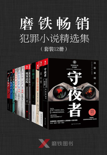 磨铁畅销犯罪小说精选集（套装12册）