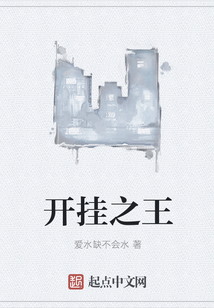開掛之王