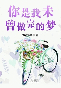 你是我未曾做完的梦