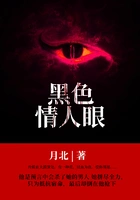 黑色情人眼在线阅读