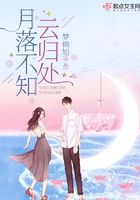 月落不知云归处在线阅读