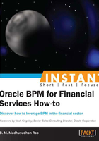 INSTANT Oracle BPM for Financial Services How-to