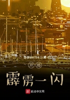 开局霹雳一闪在线阅读