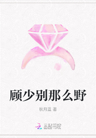 顾少别那么野