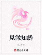 灵绣档案在线阅读
